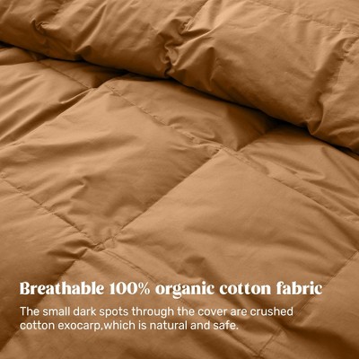 Fawn Twin Organic Cotton Down Duvet Insert