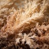 Artificial Cream Reed Wreath Cream 22"H - 2 of 4