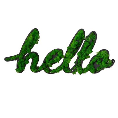 Sevobal Wall Art Hello Letter Art Moss Wall Decor For Trendy Stylish Home Indoor Accents With Vibe Charm, Green, 36.9"*18.4"*4.6"