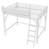 Sapphtopaz Metal Loft Bed with Storage Shelves,High Bed Frame with Ladder & Guardrail,Space-Saving Loft Bed Frame for Adults&Teen - 3 of 4