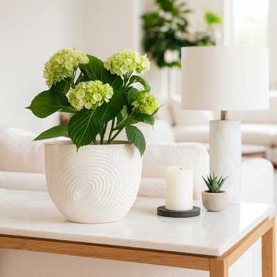 Artistic Small Swirl Texture Vase - Decorative Home Accent for Bedroom, Office Spaces, and Table Decor - Modern Sculptural Flower Vase