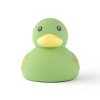 Duck Green - Bullseye's Playground™ - 2 of 3