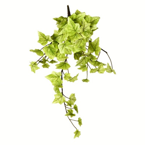 Vickerman Artificial Light Green Ivy Hanging Bush : Target