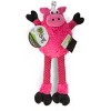 goDog Checkers Skinny Pig Squeaky Plush Dog Toy, Chew Guard Technology, Small - 4 of 4