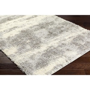 Hauteloom Grete Beige Plush Area Rug - 1 of 4
