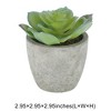 Unique Bargains Artificial Plants Mini White Sprayed Water Lily in Pulp Plastic Green 2.95"x2.95"x2.95" 1 Pc - 3 of 4