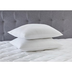BrylaneHome Heathrest Allergy Guard 2-Pk Pillows - 1 of 1