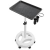 Saloniture Rolling Salon Aluminum Instrument Tray - Portable Hair Stylist Trolley with Accessory Caddy and Mat - image 2 of 4