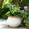 Modern Ceramic Flower Pot and Planter - Indoor and Outdoor Use - Earthy Decorative Accent for Room, Garden, Patio, or Entryway Decor - 7" White & Tan - 3 of 4
