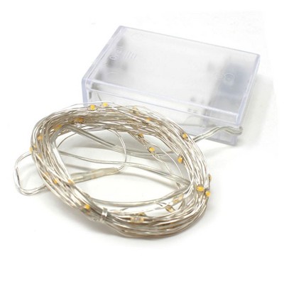 Perfect Holiday 60 LED Silver Copper Fairy String Light with Timer in Warm White
