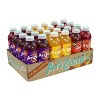 Arizona Juice Variety Pack - 24pk/20 fl oz Bottles - 3 of 3