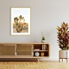 Amanti Art Joshua Tree Sunrise by Bethany Young Wood Framed Wall Art Print - 4 of 4
