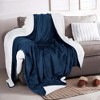 Velvet Plush Blanket with Faux Shearling Reverse - Great Bay Home - 2 of 4
