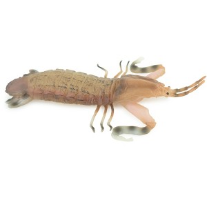 Mantis Shrimp, Marine Crustaceans, Museum Quality, Hand Painted, Rubber, Realistic Toy Figure, Model, Replica, Kids, Gift,  6 Inches.   CH1051 BB221 - 1 of 4