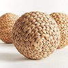 Plum & Post Jace Water Hyacinth Orbs, Natural Decorative Accents, 3pc - 3 of 4