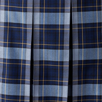 classic navy plaid