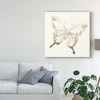 Trademark Fine Art -June Erica Vess 'Sepia Butterfly Impressions Iv' Canvas Art - 3 of 4