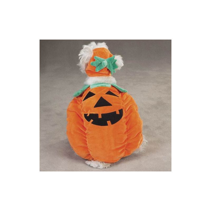 Zack & Zoey Pumpkin Pooch Dog Costume, 2 of 9