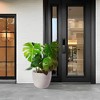 KTMBDW Ceramic Plant Pots, Planter Pot with Drainage Hole, Flower Pots for Indoor Outdoor Plants, Set of 3 - 2 of 4