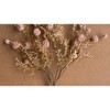 Artificial Pink Melaleuca Spray – 22" Tall Faux Floral Accent, Set of 6 by Kalalou - 3 of 3