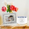 Pavilion Gift Company - Believe - 10 oz 100% Soy Wax Reveal, Triple Wick Candle Scent: Tranquility - Flame Candles - 3 of 4