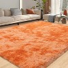 LOVEVOOK Rugs for Living Room, Fluffy Area Rugs for Bedroom, Soft Carpet Shag Kids Room Rug, Non-Slip Rugs Indoor - 4 of 4