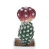 Unique Bargains Artificial Plants Mushroom-Top Cactus in Pot Plastic 3.03"x3.03"x7.87" 1 Pcs - 4 of 4
