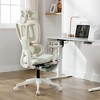 Dsvimoy Task and Office Chair Multi-functional Ergonomic Mesh Chair with Lumbar Support for Office, Green, 24.41"*13.78"*22.83" - 2 of 4
