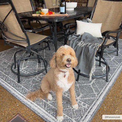 Hauteloom Diah Black & Bone Area Rug
