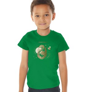 Toddler Boys' Harry Potter Ambition Pride Cunning Slytherin T-Shirt - 1 of 4