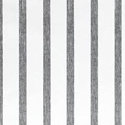 gray stripes
