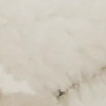 01 - beige