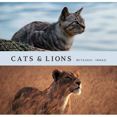 Cats & Lions - by  Mitsuaki Iwago (Hardcover)