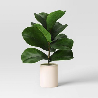 Fiddle Leaf Potted Plant Small - Threshold™