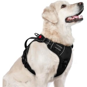 rabbitgoo Dog Harness for Large Dogs, , Easy Walking Harness with 2 Leash Clips, Black, L - 1 of 1