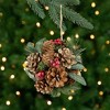 Northlight Mixed Foliage Frosted Pinecone and Berry Christmas Ball Ornament - 6" - 2 of 4