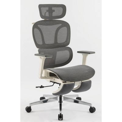 NicBex Adjustable Ergonomic Office Chair with Retractable Footrest,Dynamic Lumbar Support,2D Headrest,2D Armrest for Work Study,Gray