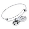 Steeltime Ladies stainless steel "The love of family.....", tree of life and heart shape crystal charm adjustable wire bangle - 2 of 4