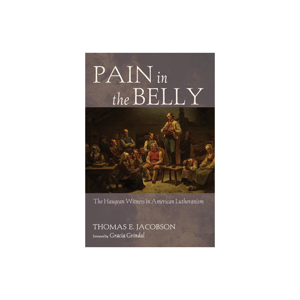 Pain in the Belly - by Thomas E Jacobson (Hardcover)