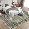 Area Rug Living Room, Vintage Washable Non-Slip Rugs, Carpet for Bedroom, Kitchen, Hallway, Dining Room - 4 of 4
