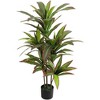 Artificial Dragon Tree in Pot - Tropical Fake Plant Decor for Living Room, Balcony, Bedroom, Office - 3 of 4