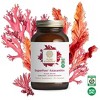 Pure Synergy SuperPure® Astaxanthin – Organic Algae-Based Antioxidant for Skin, Eyes & Heart – 60 Capsules - 2 of 4