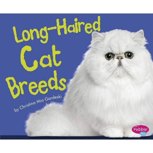 Long Haired Cat Breeds Cats Cats Cats By Christina Mia