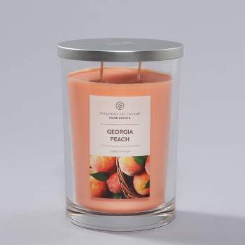 19oz 2 Wick Jar Candle Georgia Peach - Home Scents by Chesapeake Bay Candle
