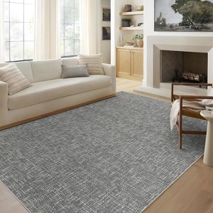Acekool 5x7 Machine Washable Rug, Modern Non-Slip Minimalist Area Rug, Stain Resistant, Foldable Neutral Accent Carpet for Living Room, Black - 1 of 4