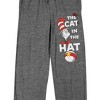 Dr. Seuss The Cat in the Hat Men's Heather Gray Sleep Pajama Pants - 2 of 4