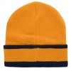 Adult Dragon Ball Z Goku Icon Beanie - 2 of 2