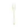 World Centric Compostable Forks - Case of 12/24 ct - 3 of 3