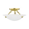 Livex Lighting Oasis 3 - Light Flush Mount in  Polished Brass - 4 of 4
