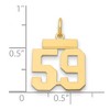 Black Bow Jewelry 14k Yellow Gold, Athletic Collection, Small Polished Number 59 Pendant - 2 of 3